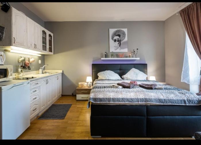 Apartman Zara Superior Liptovský Mikuláš Exteriör bild